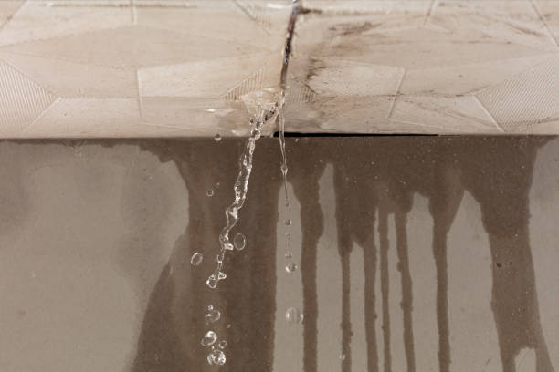 Professional Burst Pipe Cleanup technician working in Thompsons, TX